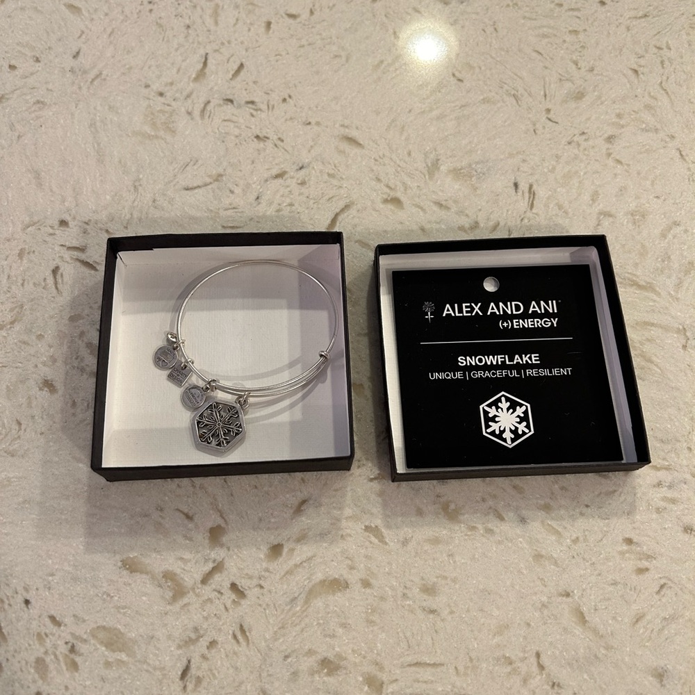 Alex and Ani ‘Snowflake’ bangle bracelet in brushed pewter.